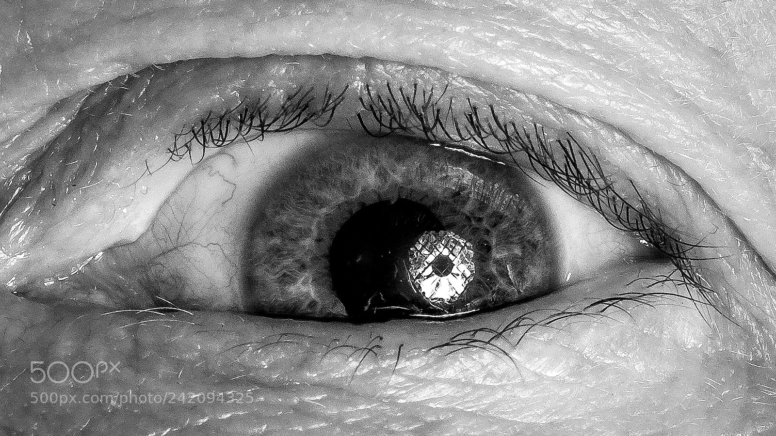 Fujifilm X-T2 sample photo. "eye see you"! photography