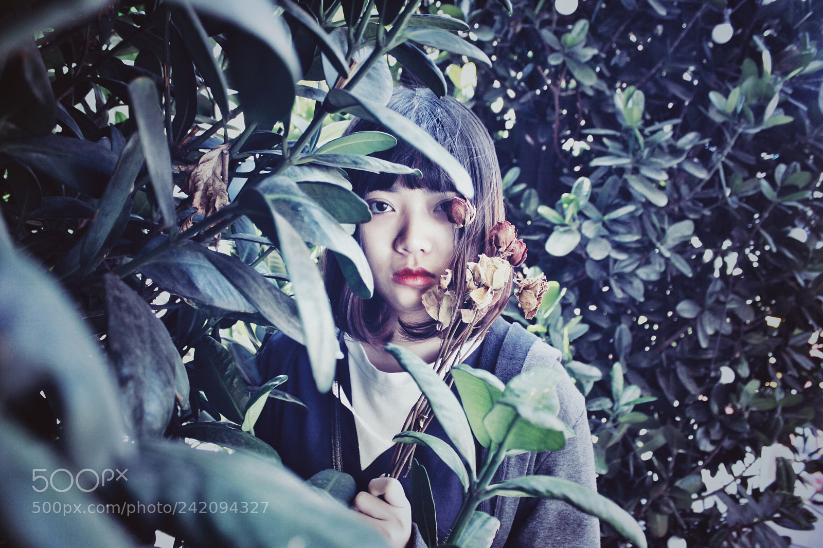 Canon EOS 50D sample photo. Untitled photography