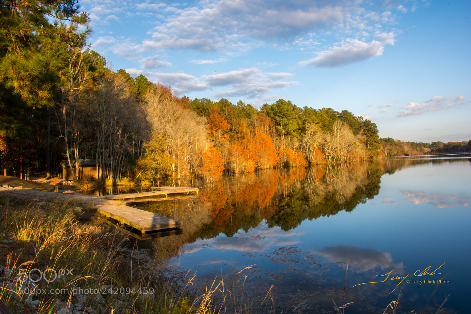 Nikon D7100 sample photo. Hinson lake autumn photography