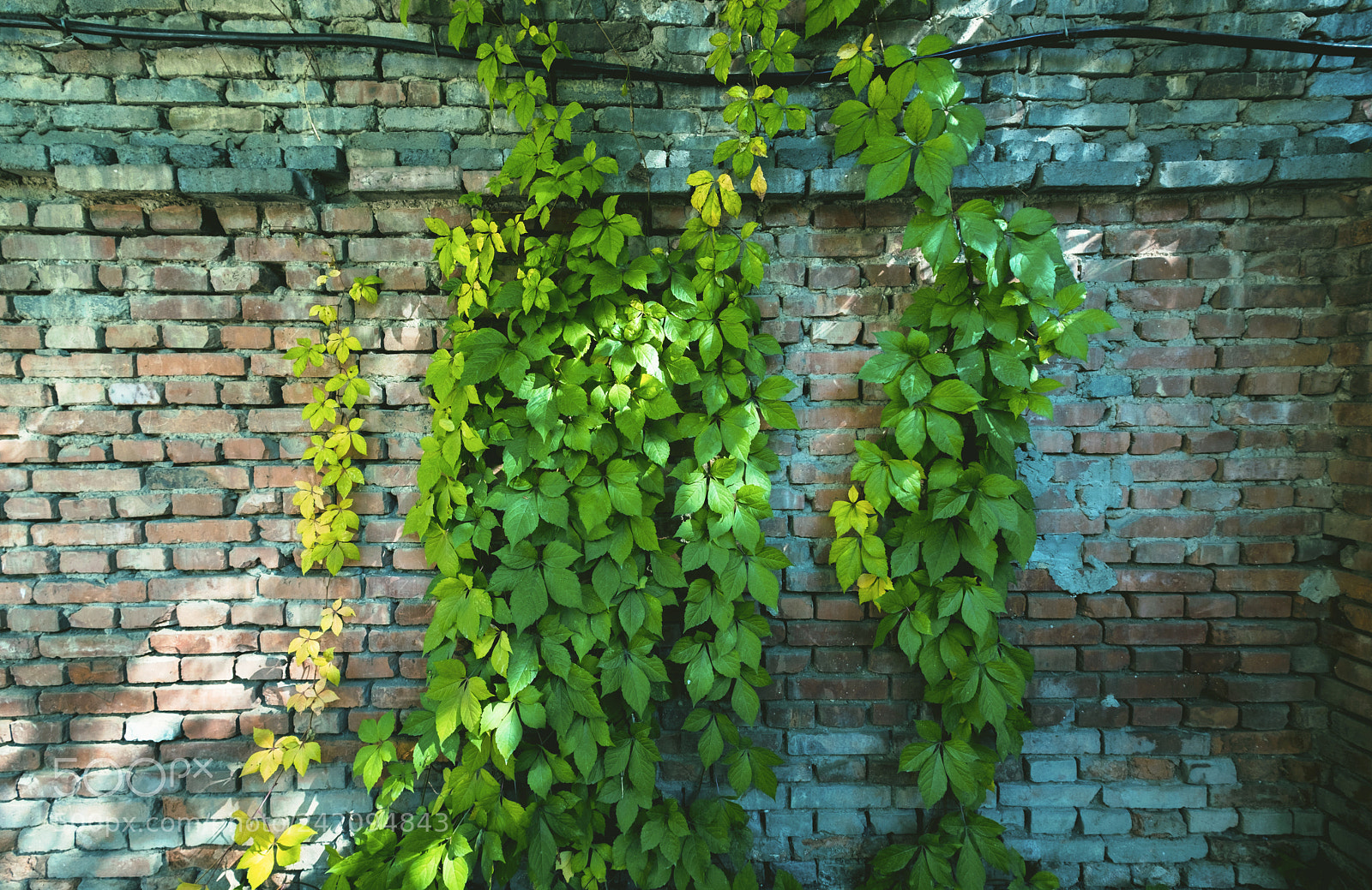 Fujifilm X-T20 sample photo. Summer recollection photography