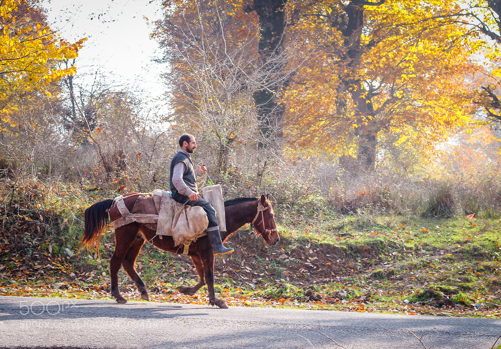 Canon EOS 1200D (EOS Rebel T5 / EOS Kiss X70 / EOS Hi) sample photo. Horseman photography