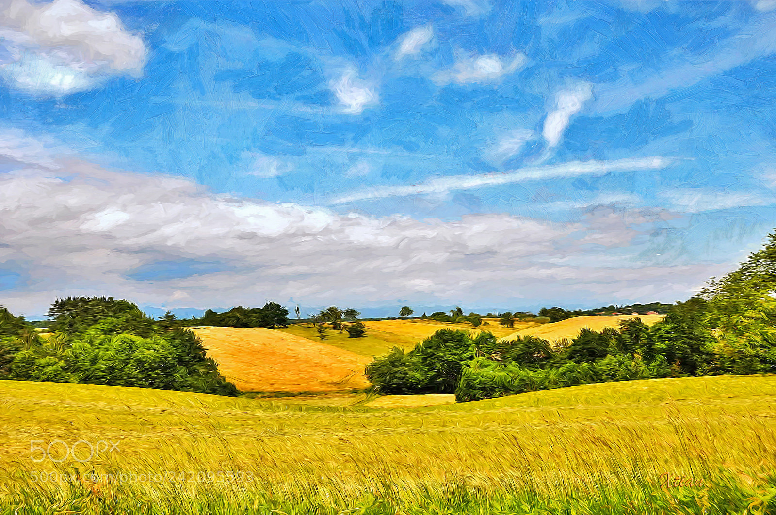 Nikon D300S sample photo. Champs de joelisa photography