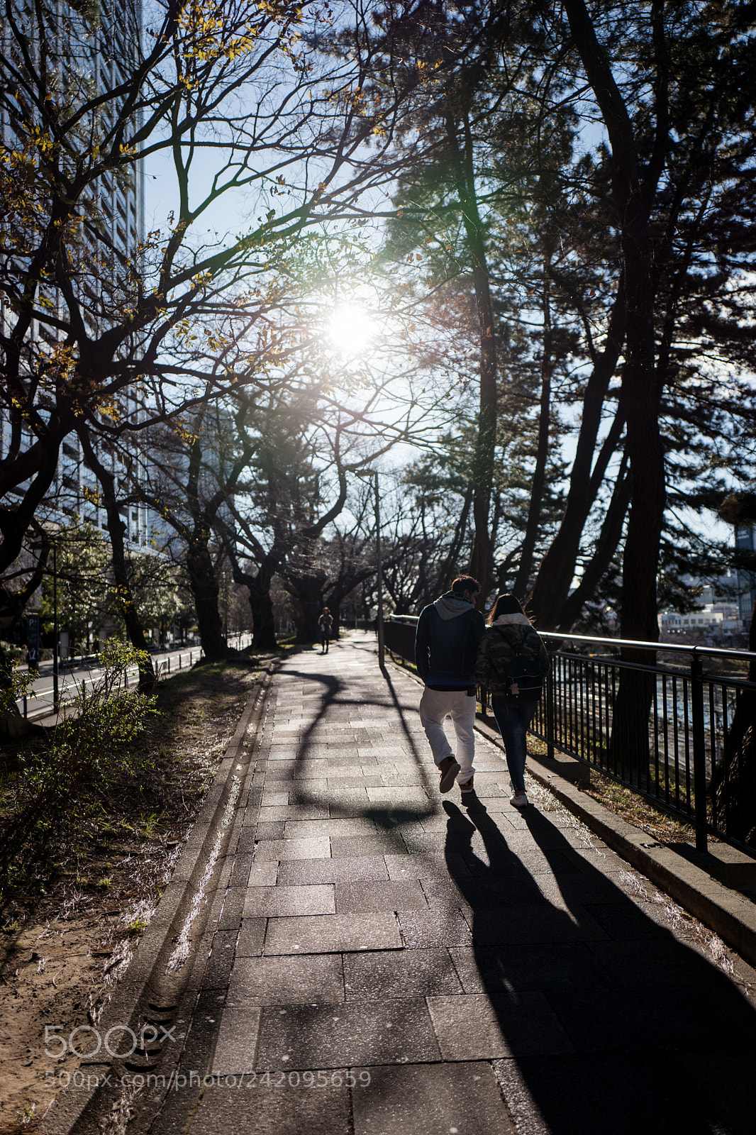 Leica Q (Typ 116) sample photo. Winter sunlight photography