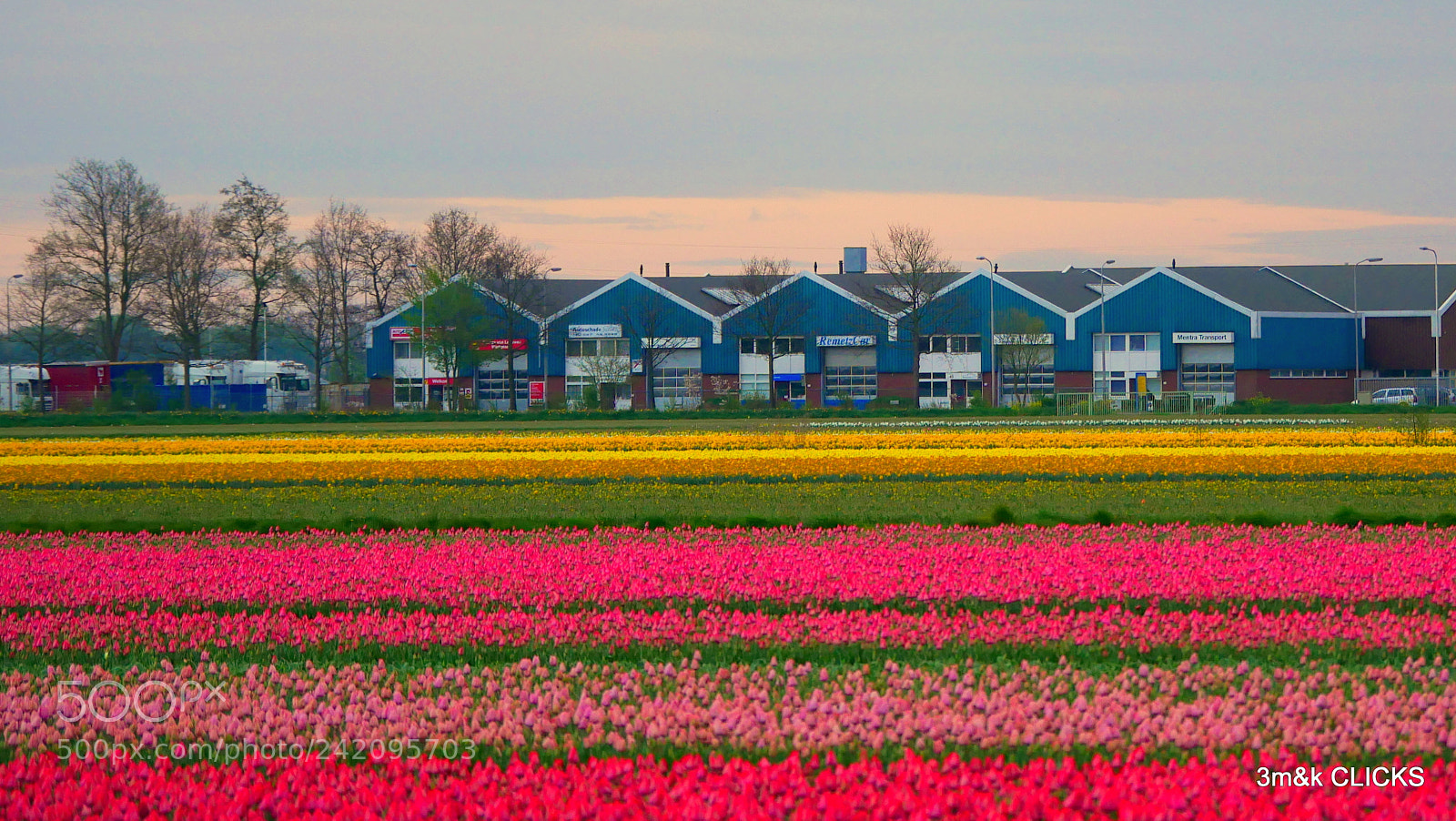 Panasonic Lumix DMC-G85 (Lumix DMC-G80) sample photo. Flowerland... photography