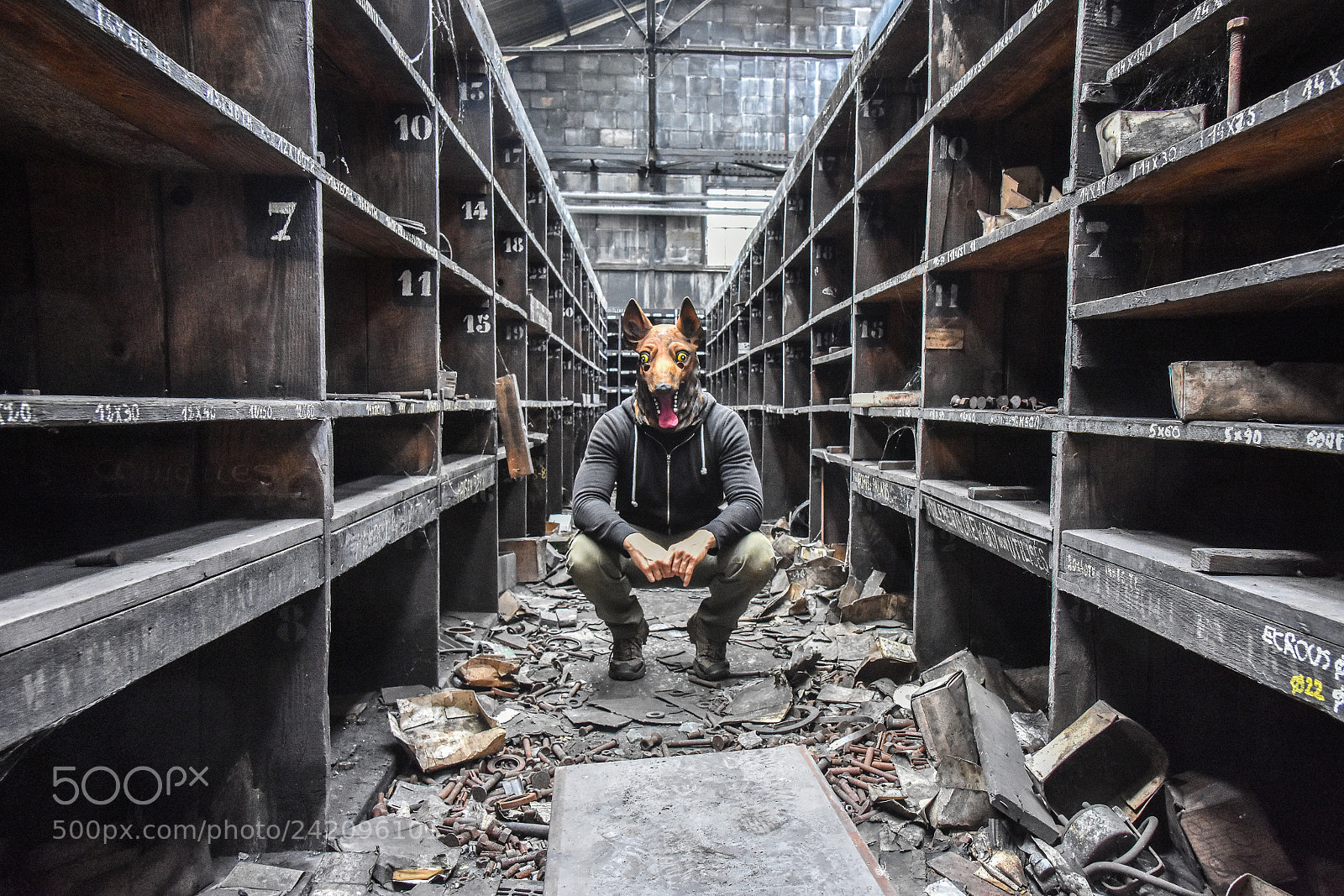 Nikon D7200 sample photo. Dog in urbex photography
