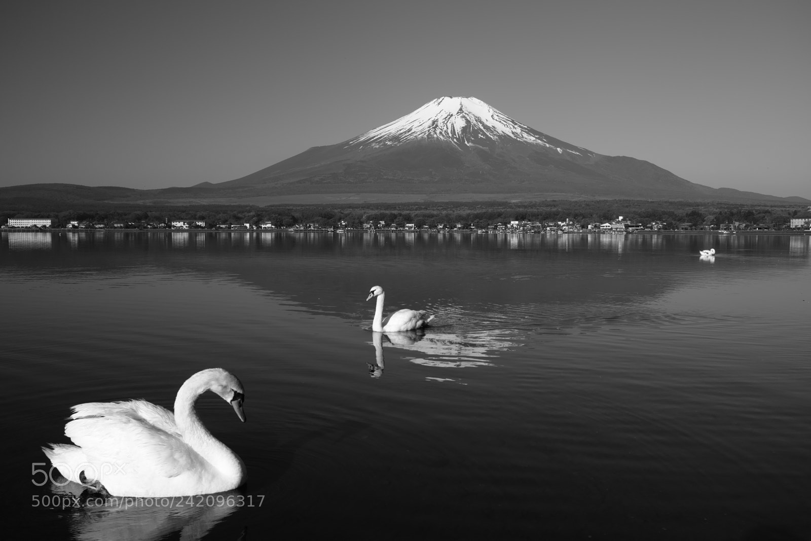 Sigma DP1 Merrill sample photo. Elegance photography