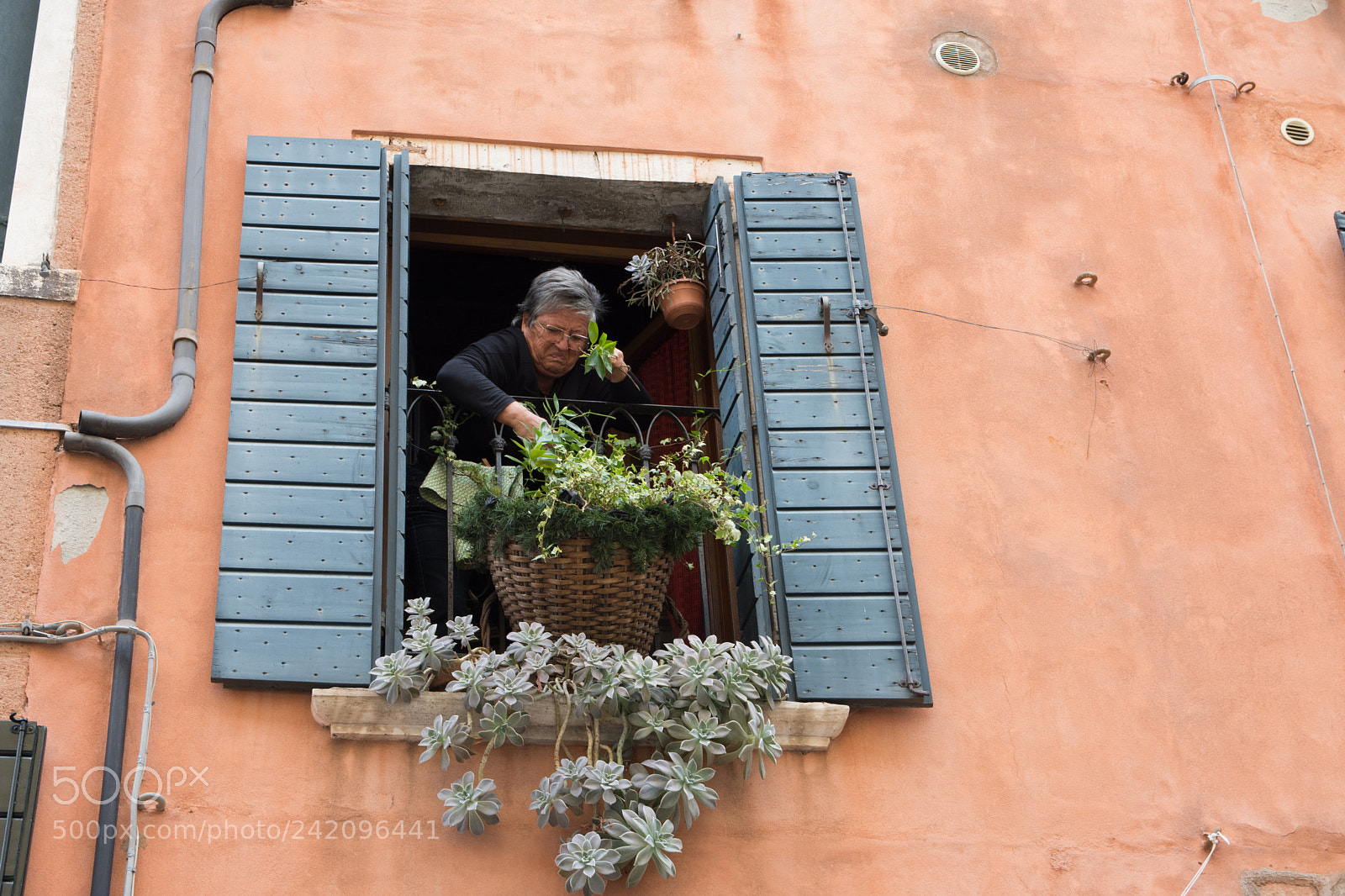 Nikon D7200 sample photo. October in venice photography