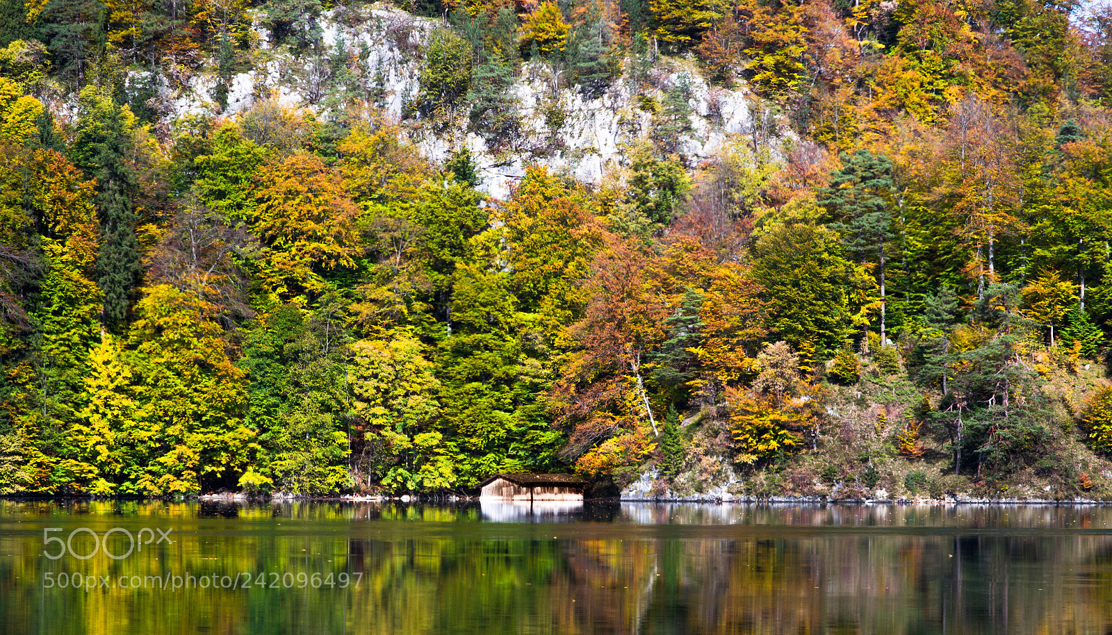 Canon EOS 60D sample photo. Herbst photography