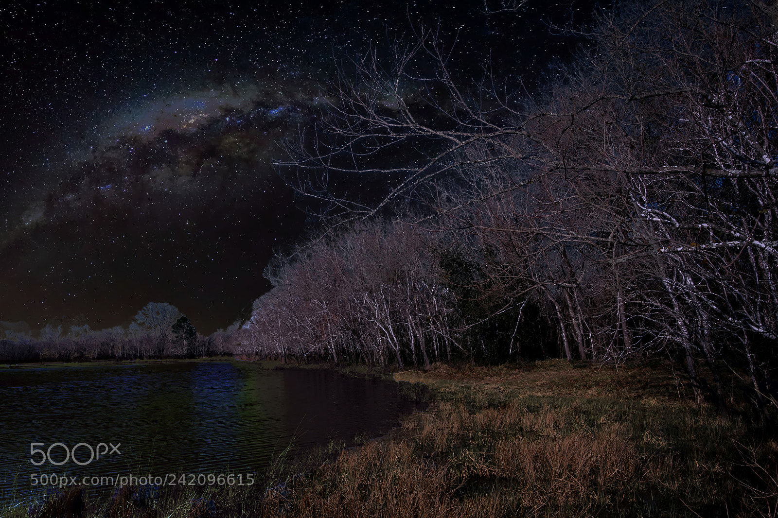 Canon EOS 60D sample photo. Under the night sky photography