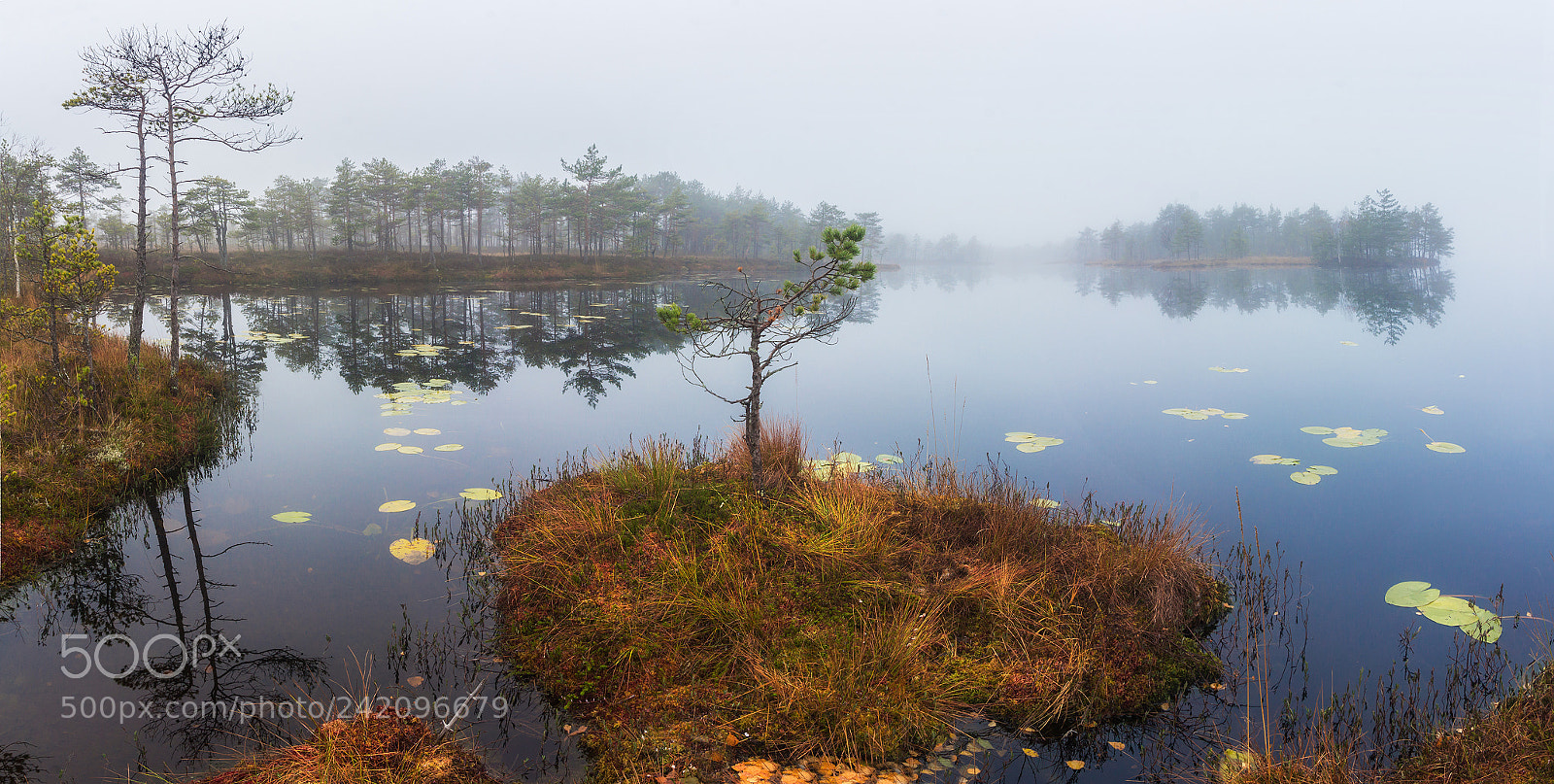 Canon EOS 60D sample photo. Sunrise on the forest photography