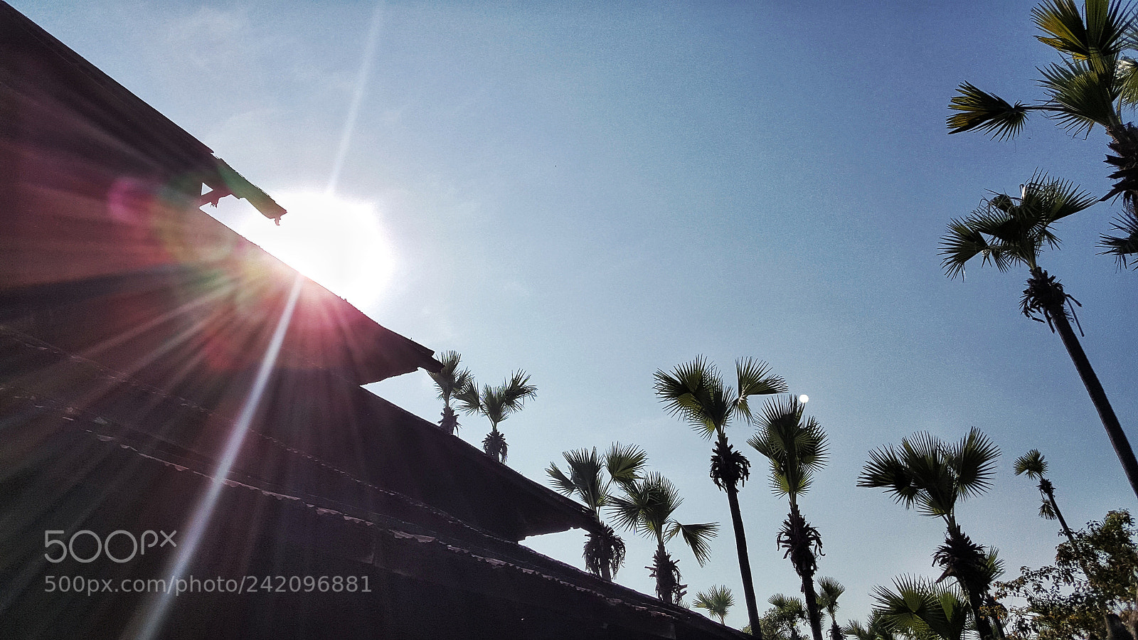 Samsung Galaxy Note5 sample photo. Sunshine photography