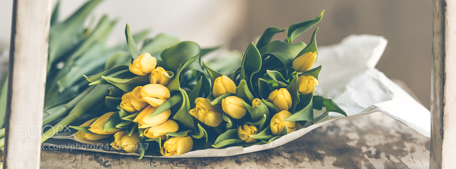 Nikon D810 sample photo. Yellow tulips flowers bouquet photography