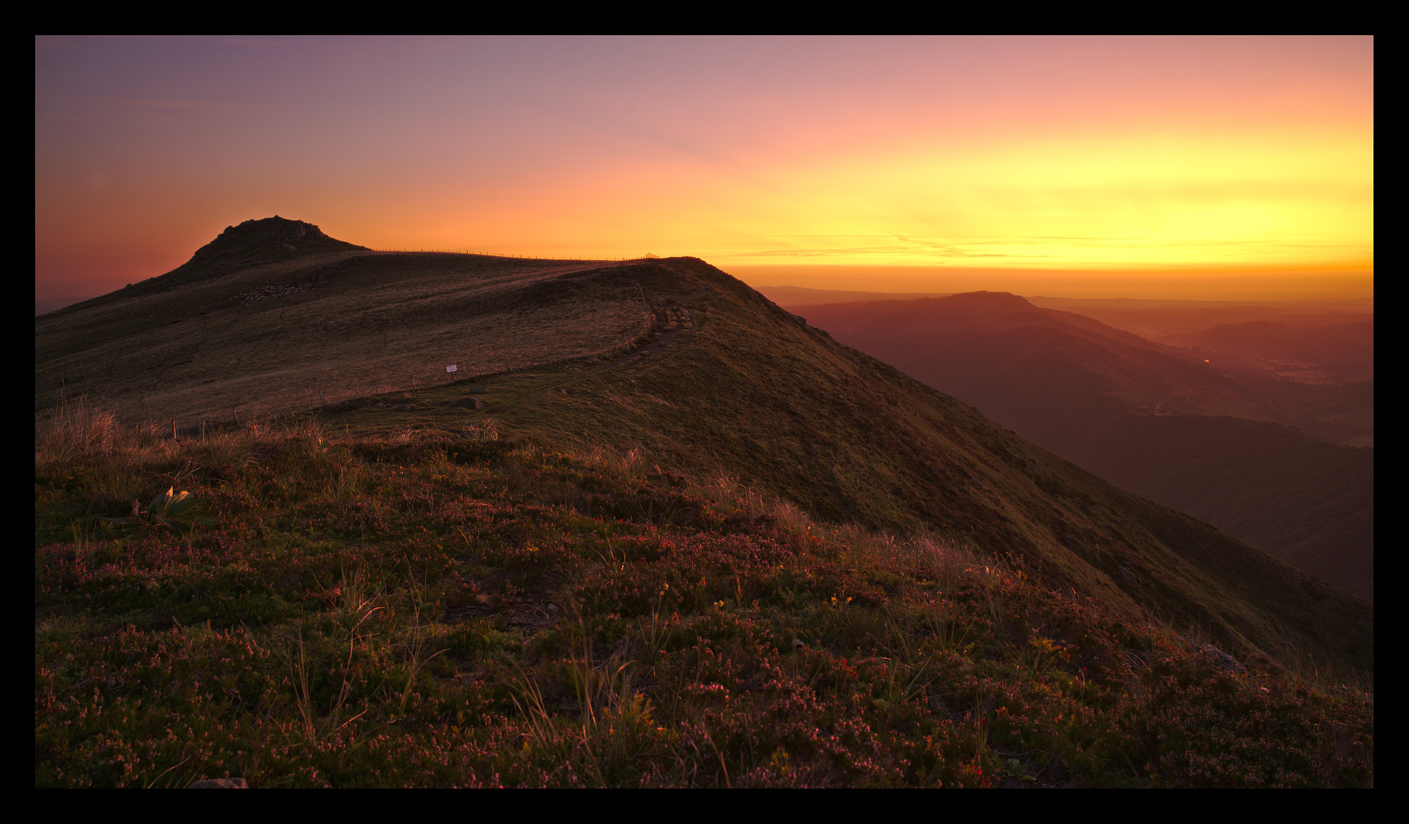 Sony a7R II + ZEISS Batis 25mm F2 sample photo. La tourte photography