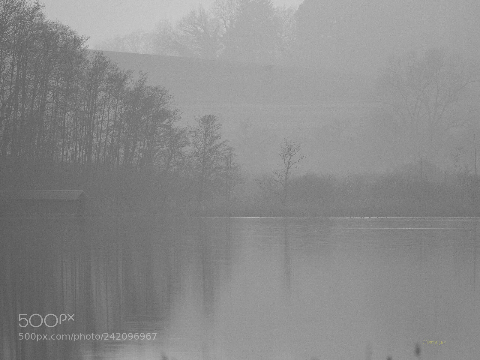 Olympus OM-D E-M1 Mark II sample photo. Mindelsee im nebel photography