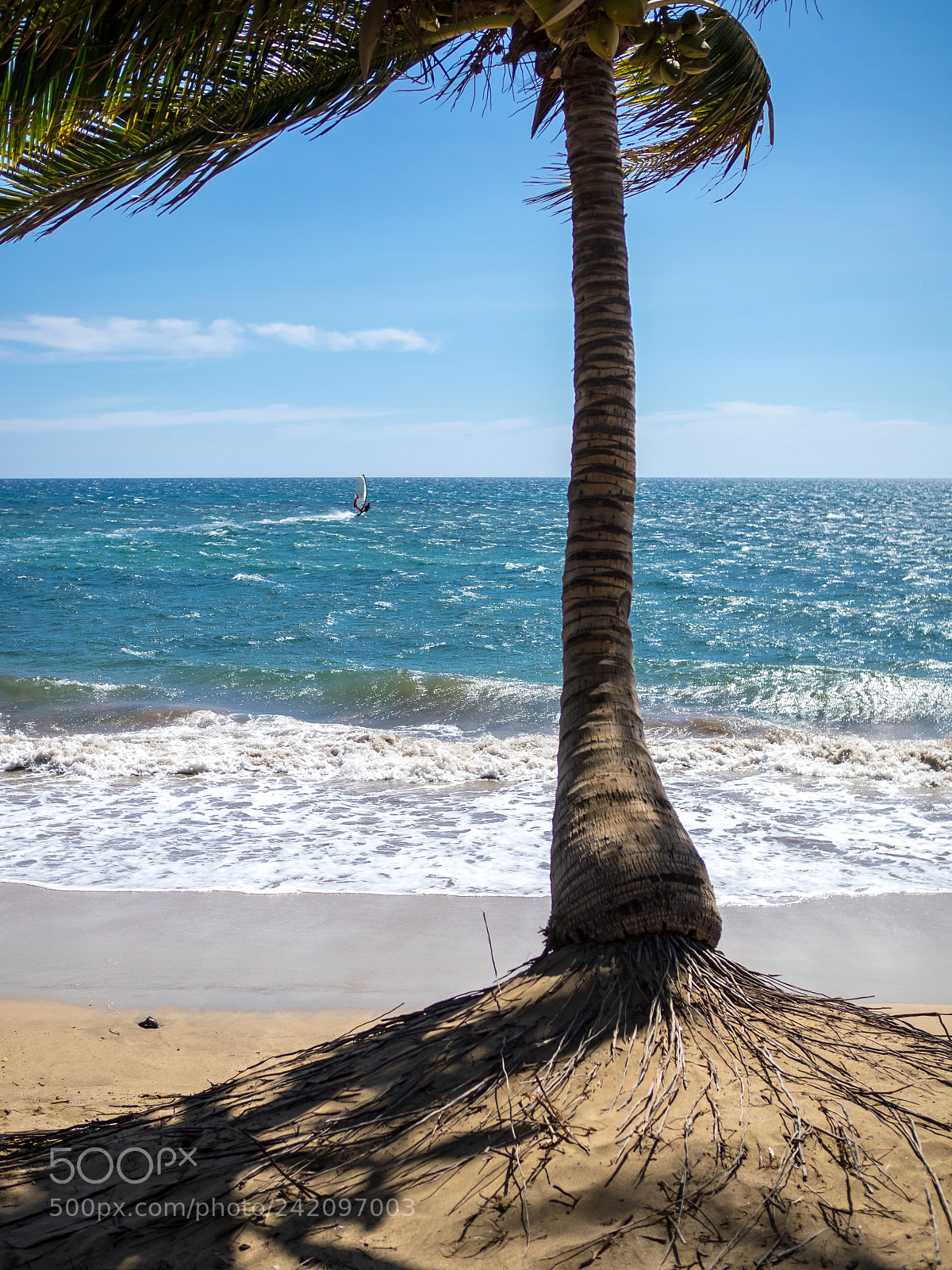 Olympus OM-D E-M1 sample photo. Fresh breeze at the photography