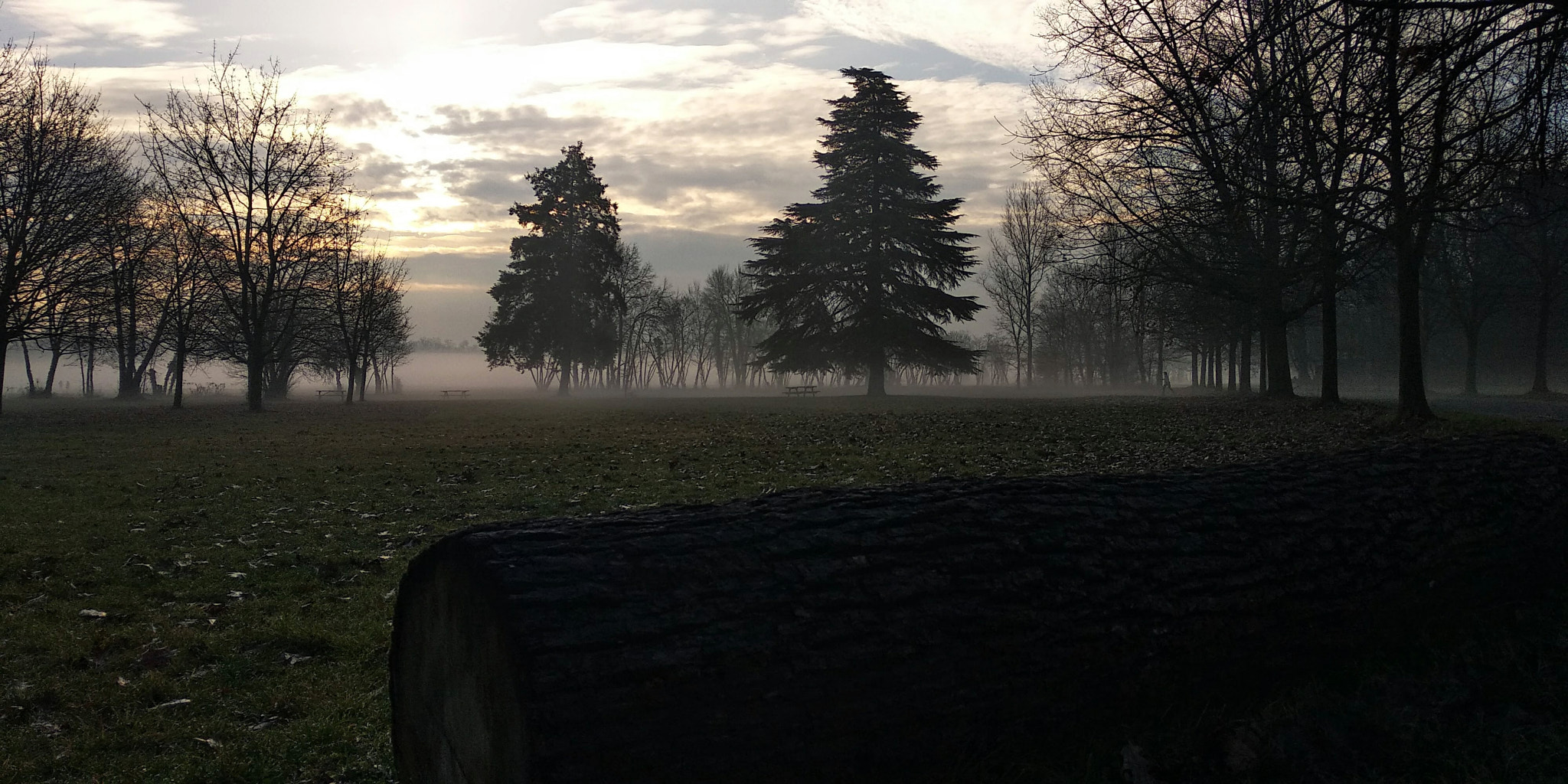 Xiaomi Redmi 5 Plus sample photo. Almost relentless mist photography