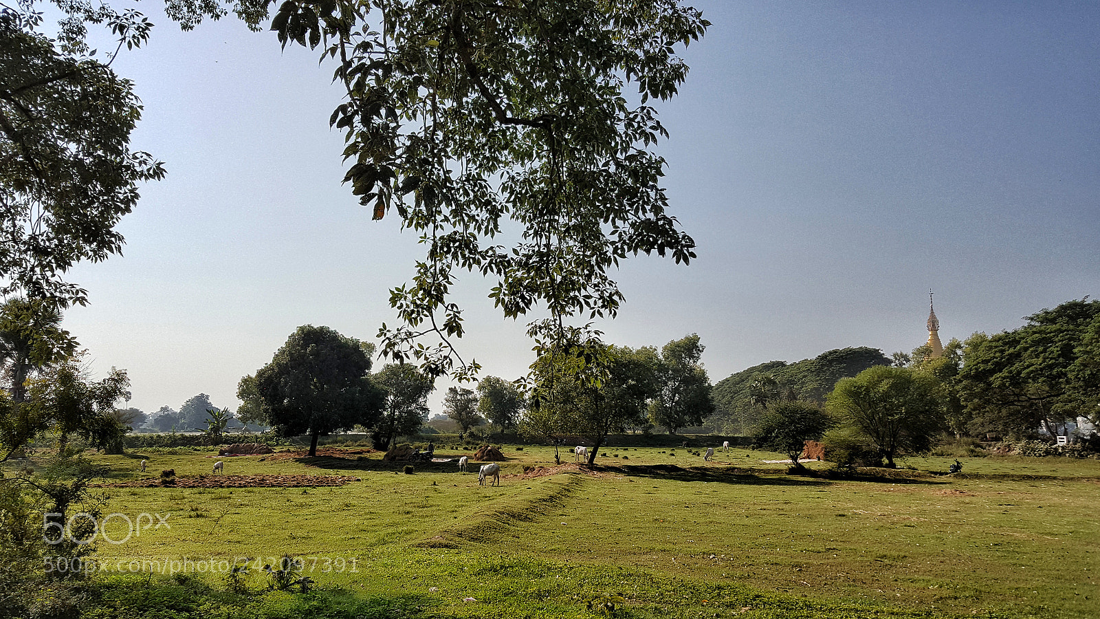 Samsung Galaxy Note5 sample photo. Peaceful landscape photography
