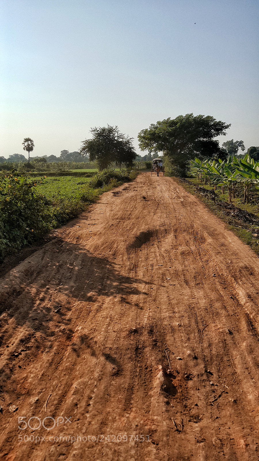 Samsung Galaxy Note5 sample photo. Travel by horse cart photography