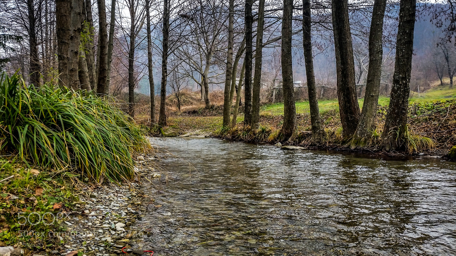 Samsung Galaxy S5 sample photo. Lovely stream <3 photography