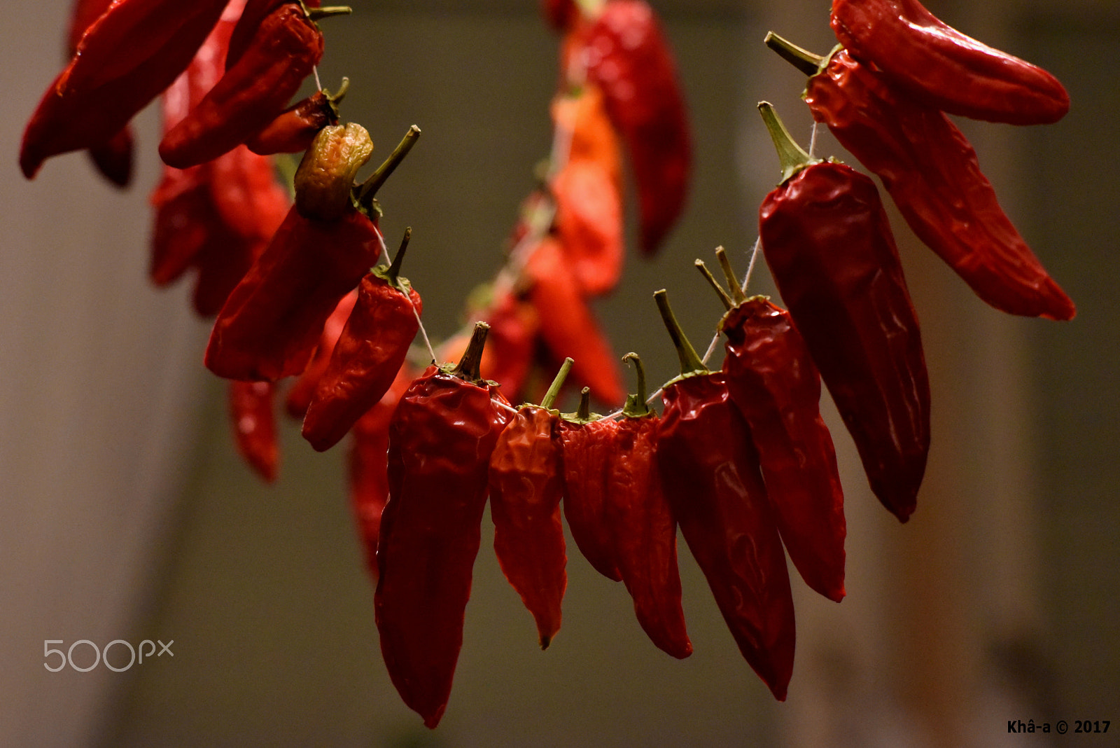 Manual Lens No CPU sample photo. Peperoni. photography