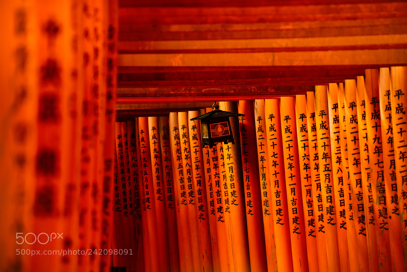 Nikon D810 sample photo. 伏見稲荷大社 fushimi inari shrine photography