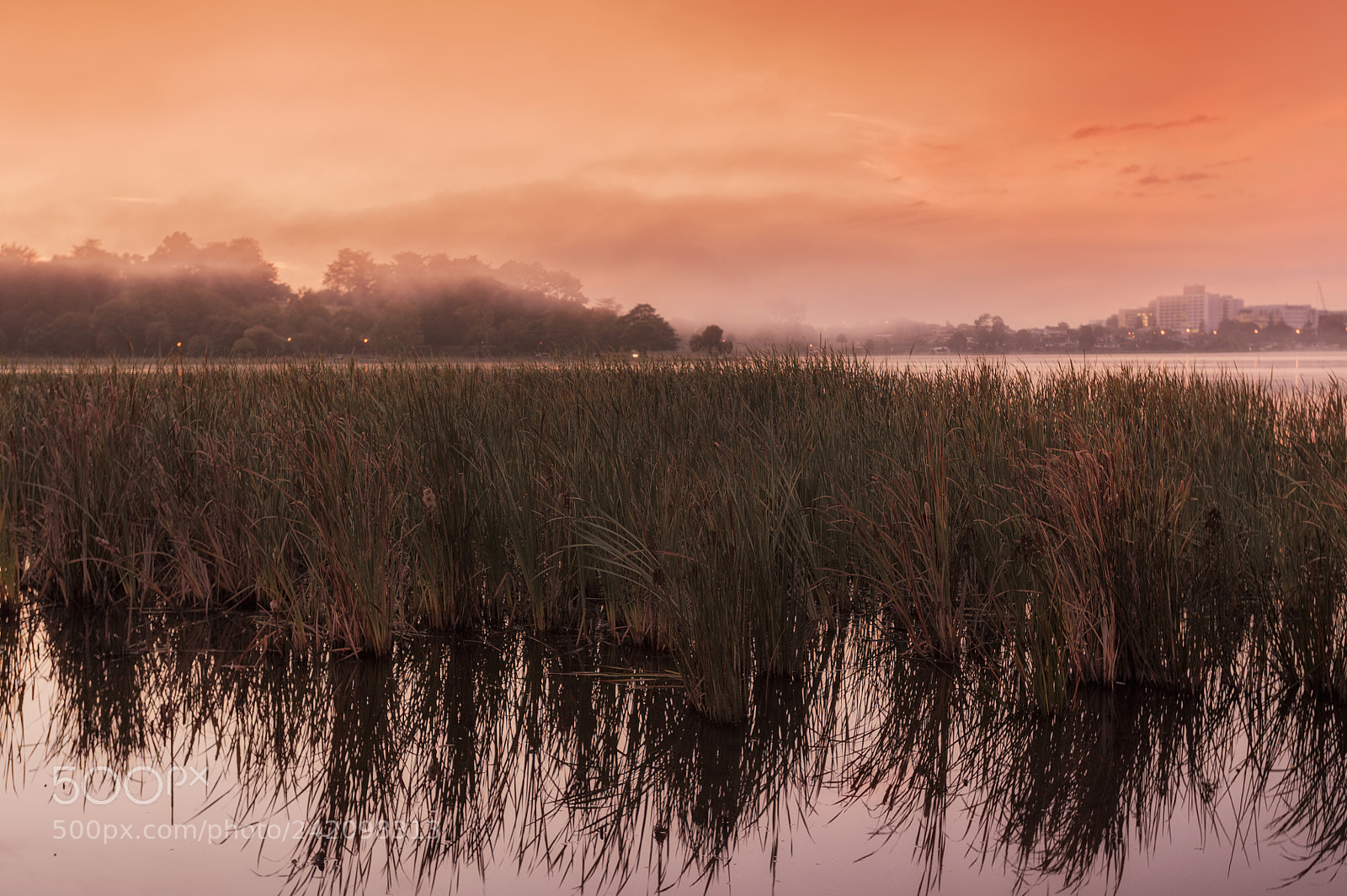 Nikon D700 sample photo. Sunrise mist in lake photography