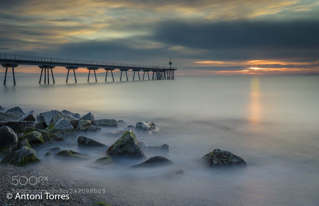 Nikon D810 sample photo. El pont del petroli photography
