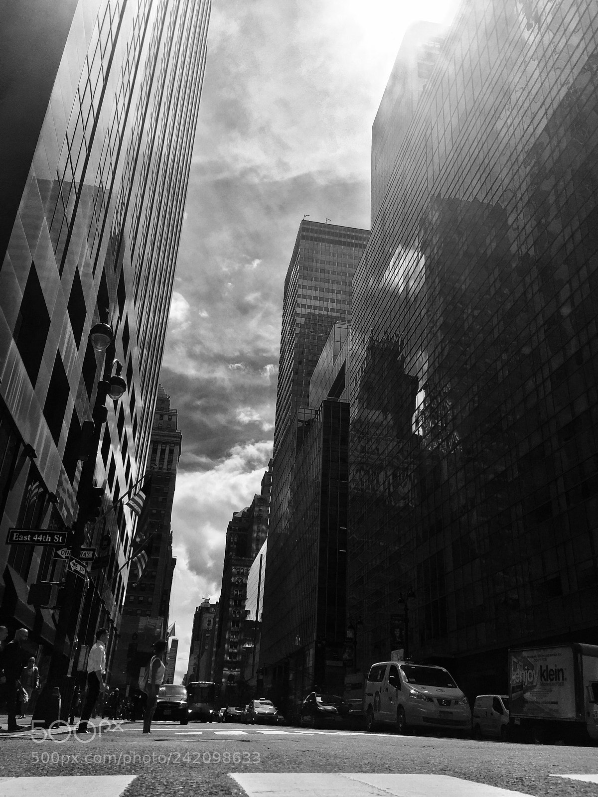 Apple iPhone 6 sample photo. A dog's view photography