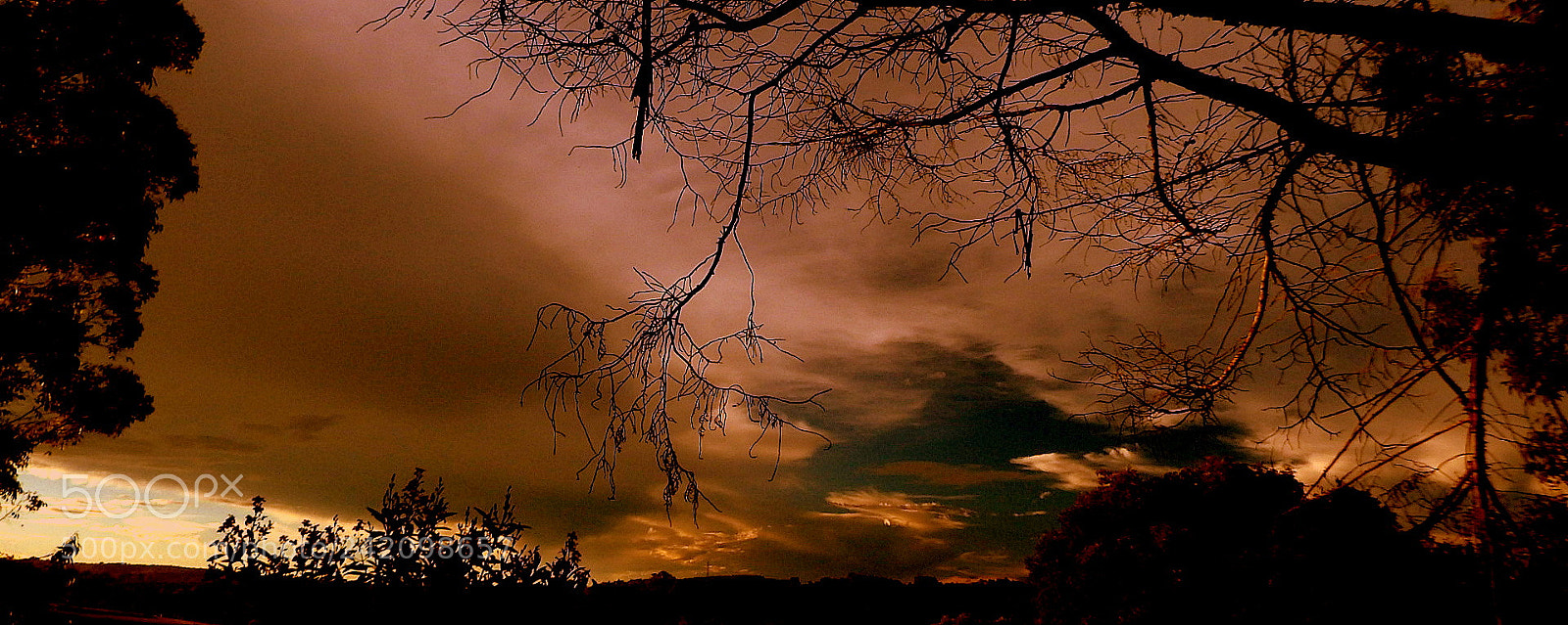 Fujifilm FinePix SL1000 sample photo. Summer sunset .... photography