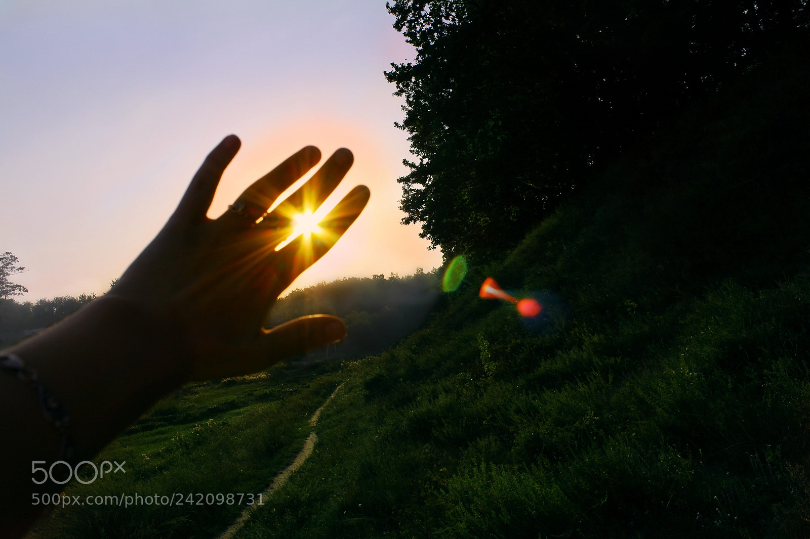 Canon EOS 650D (EOS Rebel T4i / EOS Kiss X6i) sample photo. The hand photography