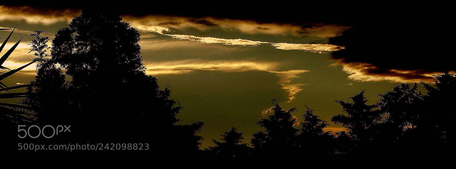 Fujifilm FinePix SL1000 sample photo. Sunset picture .... photography