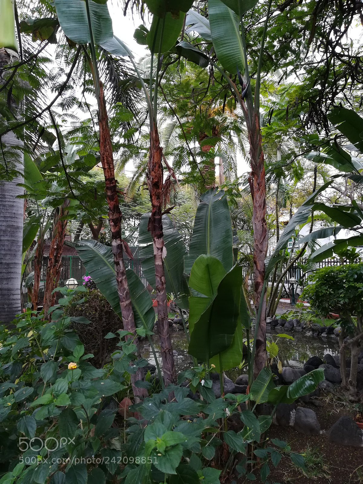 HUAWEI P10 lite sample photo. Untitled photography