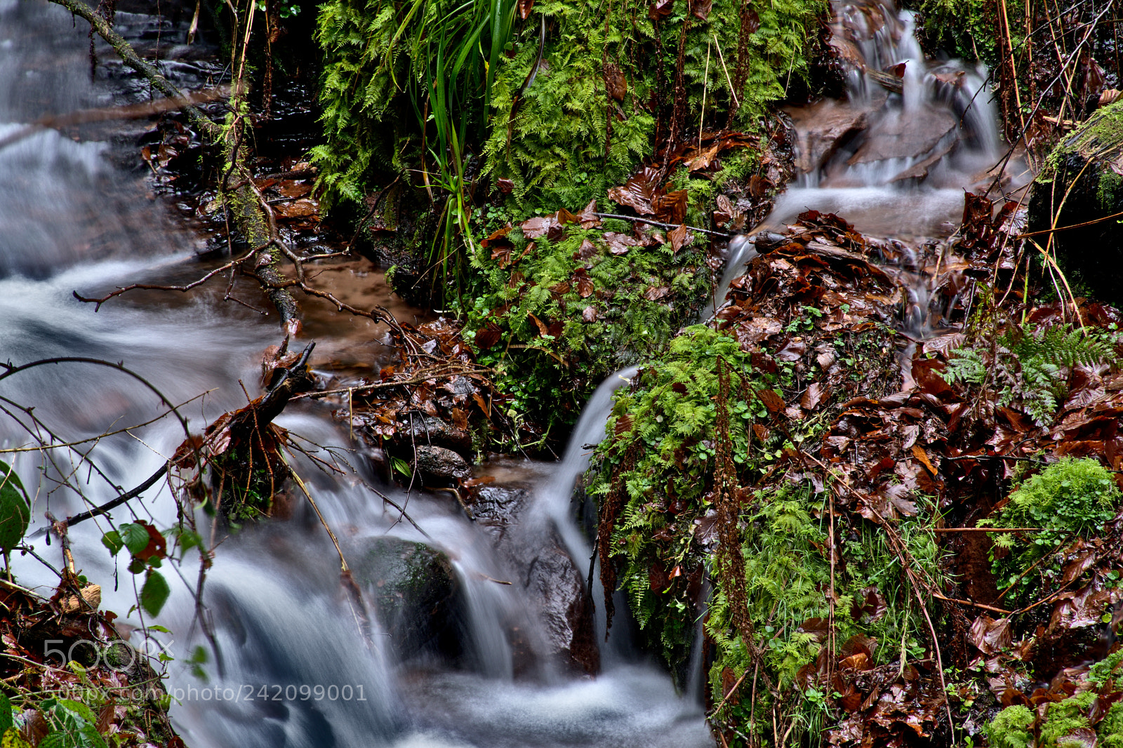 Nikon D7100 sample photo. Palatinate67 photography
