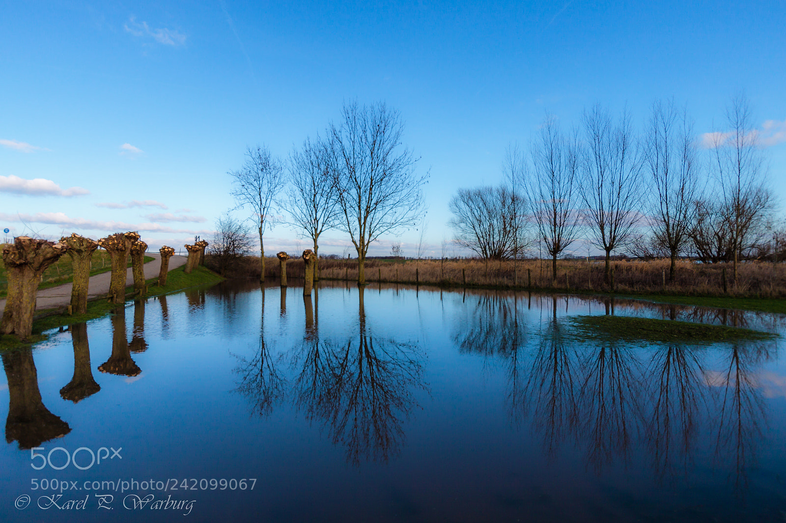 Canon EOS 50D sample photo. Reflections. photography