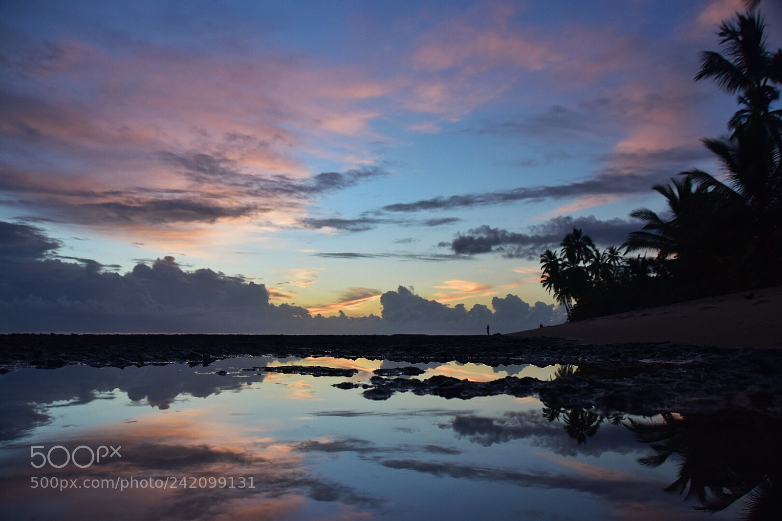 Nikon D5500 sample photo. Sunrise on the peninsula photography