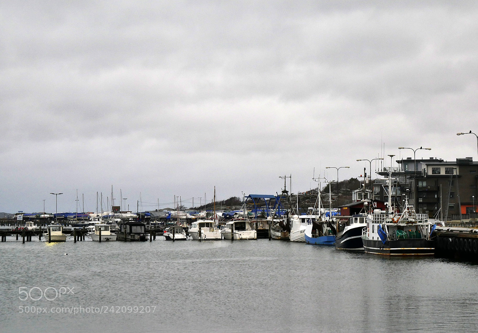 Panasonic Lumix DMC-G7 sample photo. Gray day photography