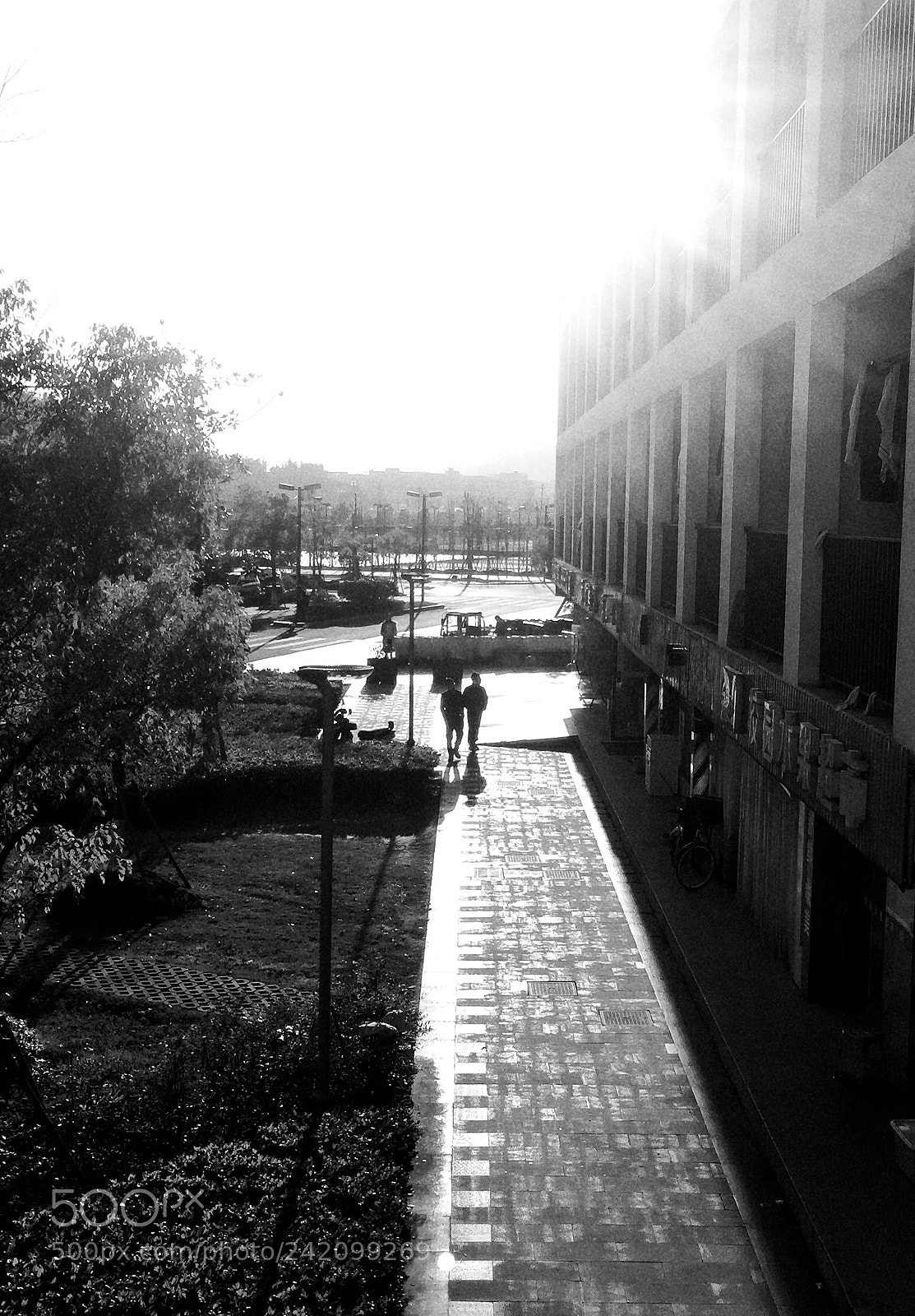 Apple iPhone 6 sample photo. Untitled photography