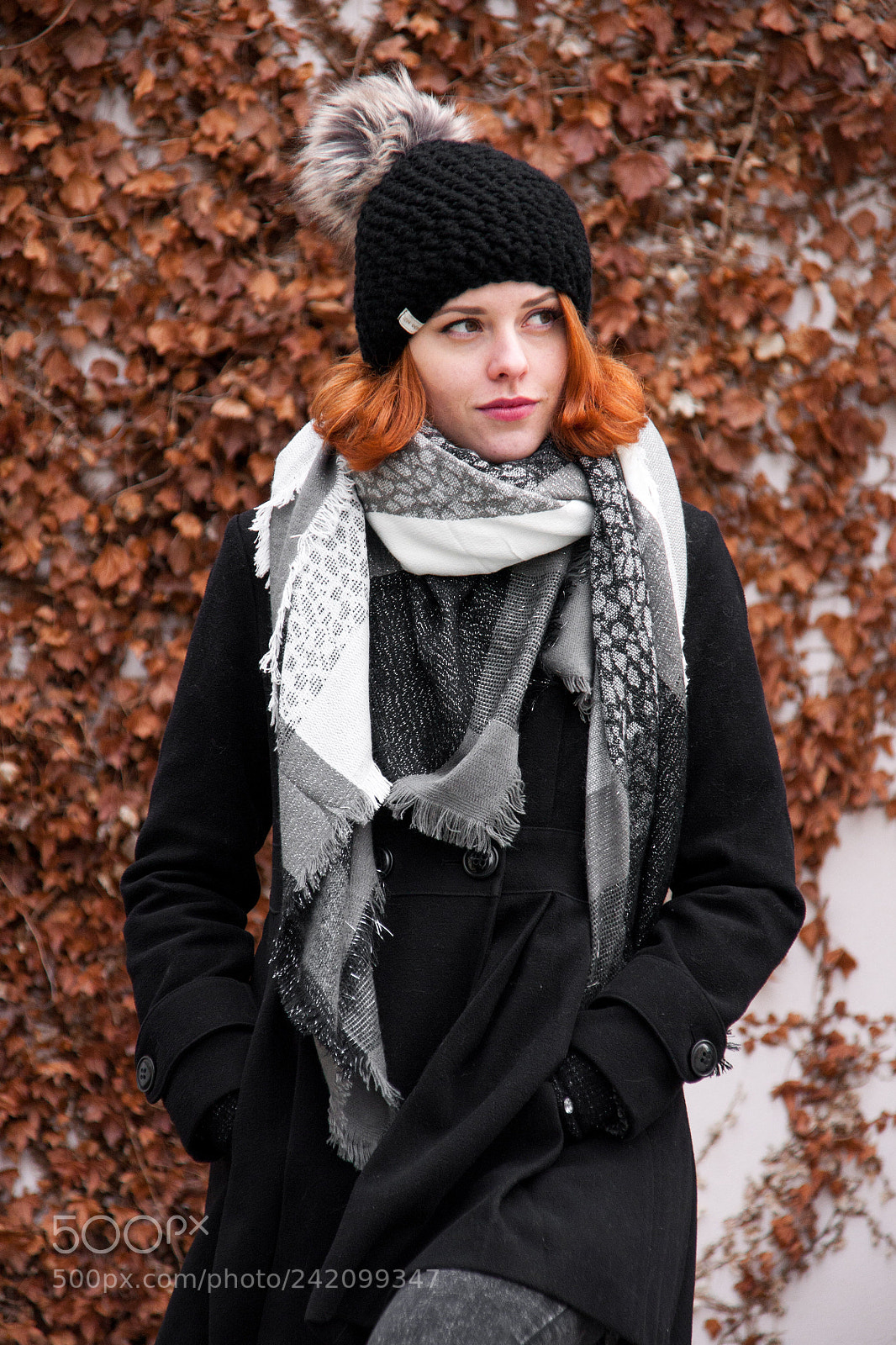 Sony Alpha DSLR-A700 sample photo. Autumn in winter photography