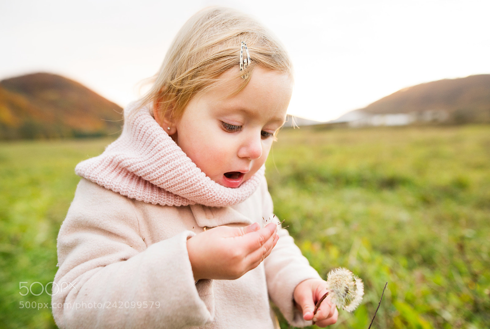 Nikon D4S sample photo. Cute little girl with photography