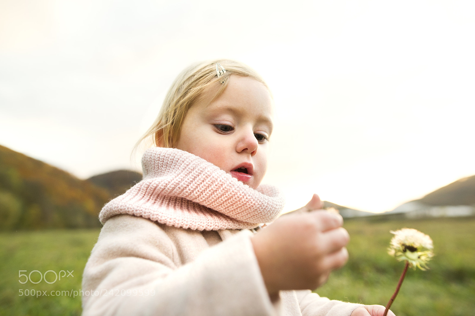 Nikon D4S sample photo. Cute little girl with photography