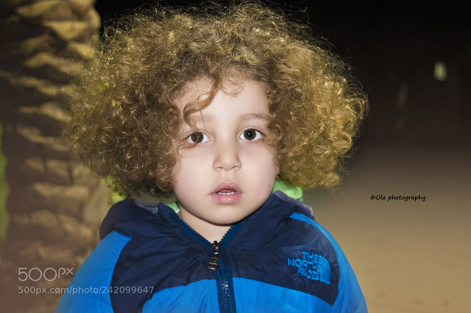 Nikon D5500 sample photo. Boy photography
