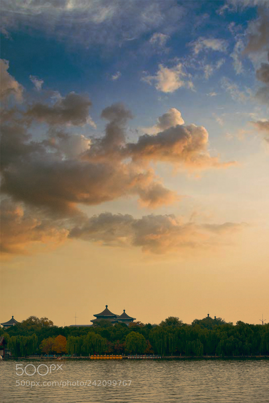 Nikon D800 sample photo. 景山你早 photography