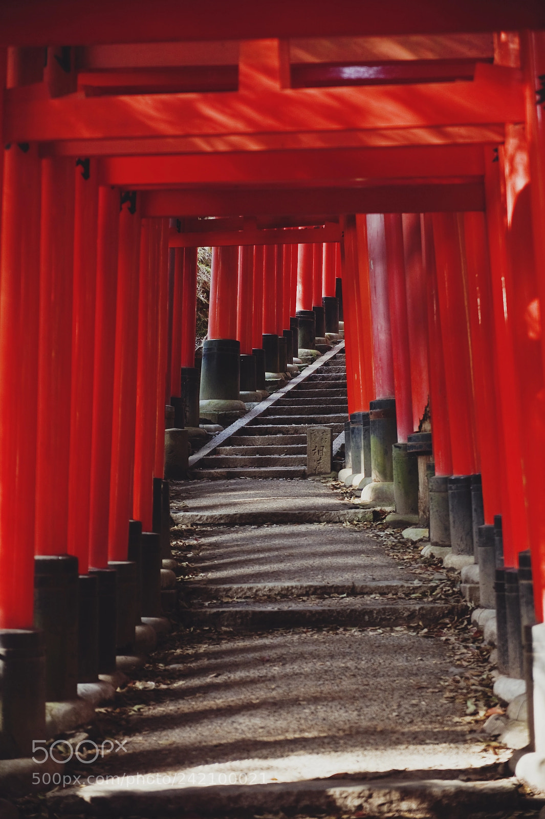 Nikon D3S sample photo. The gates to mount photography