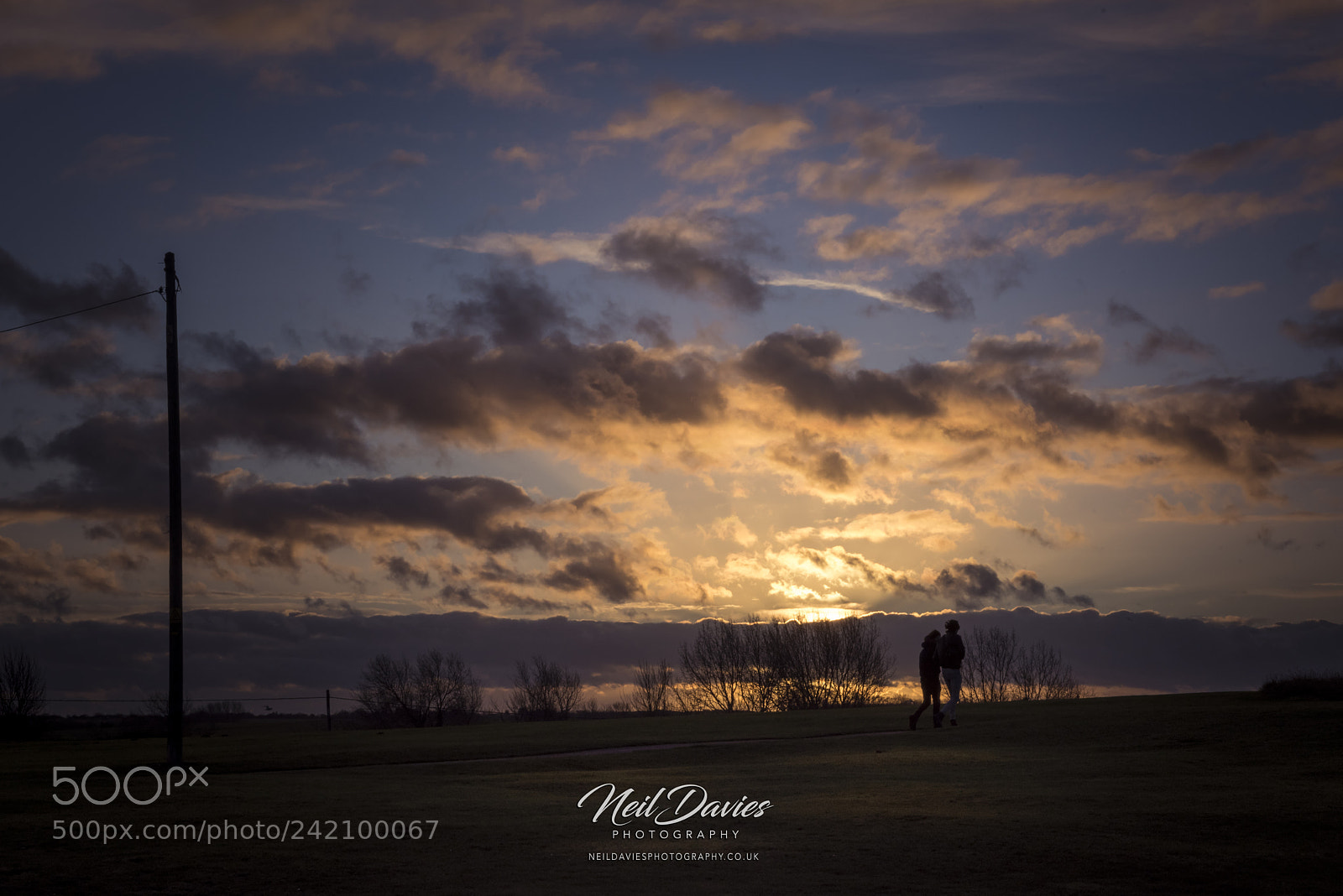 Nikon D810 sample photo. Untitled photography