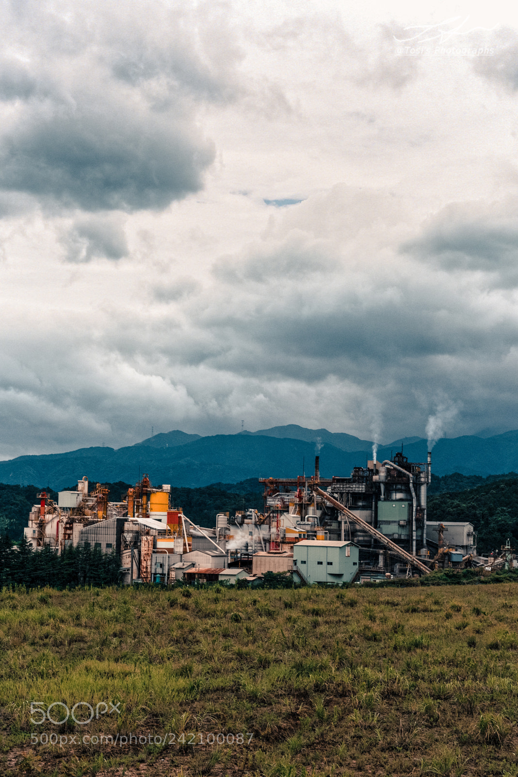 Nikon D810 sample photo. To the sky！ photography