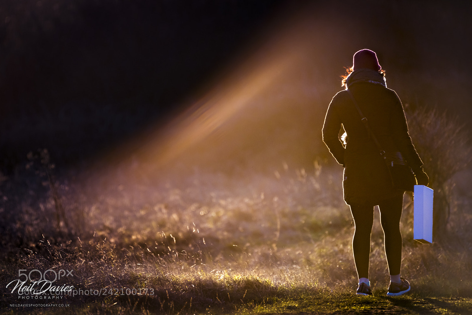 Nikon D810 sample photo. Untitled photography
