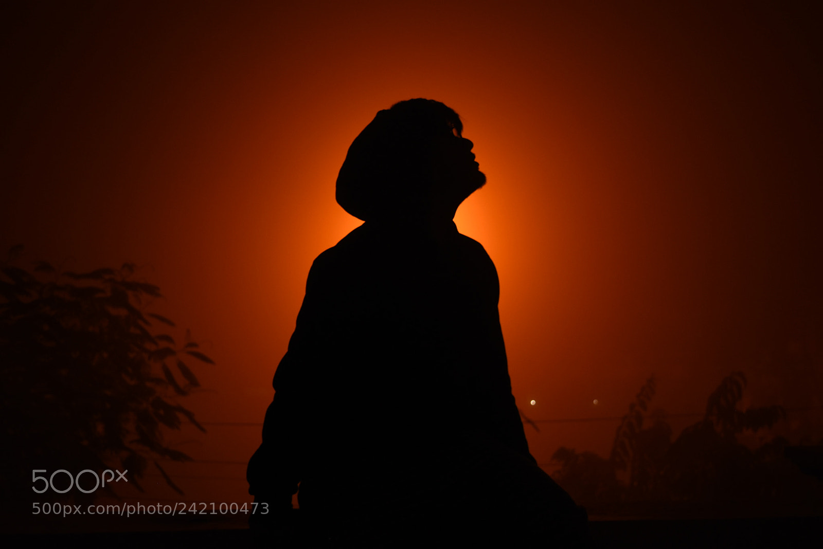 Nikon D5500 sample photo. Illuminate photography