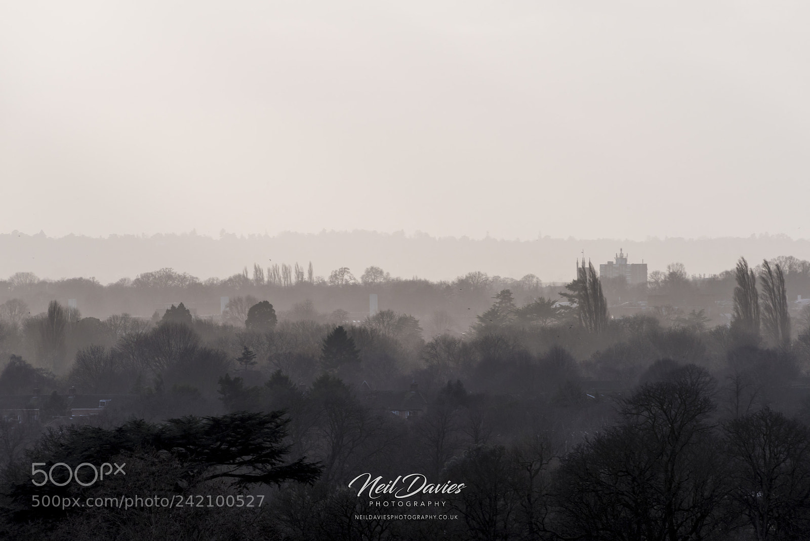 Nikon D810 sample photo. Untitled photography