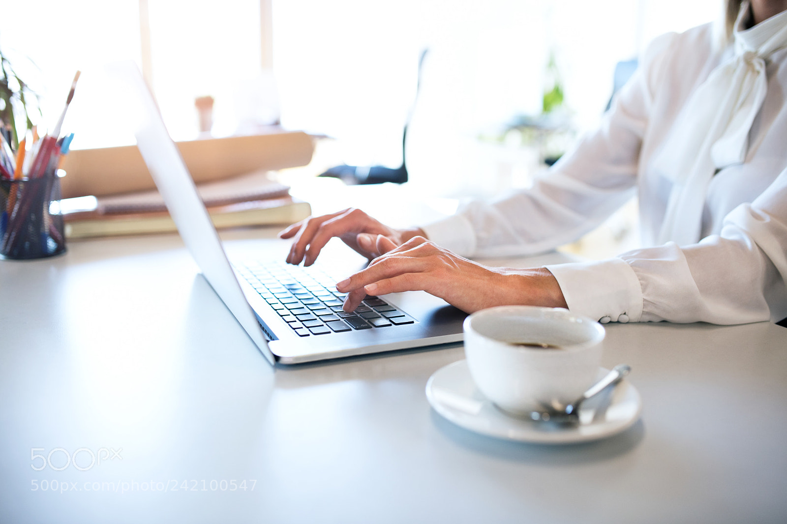 Nikon D5 sample photo. Businesswoman with laptop at photography
