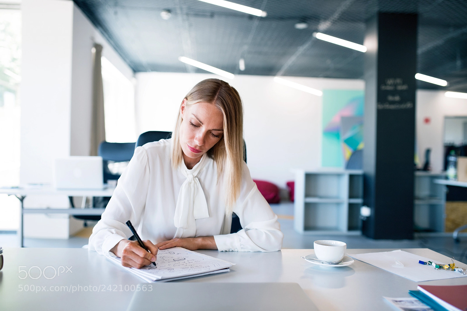 Nikon D5 sample photo. Businesswoman at the desk photography